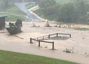 Two Years After Hurricane Helene, I Still Think About Who Got to Go Back to Normal