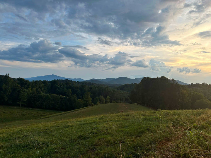 How Much Farmland Are We Willing to Trade for Progress?