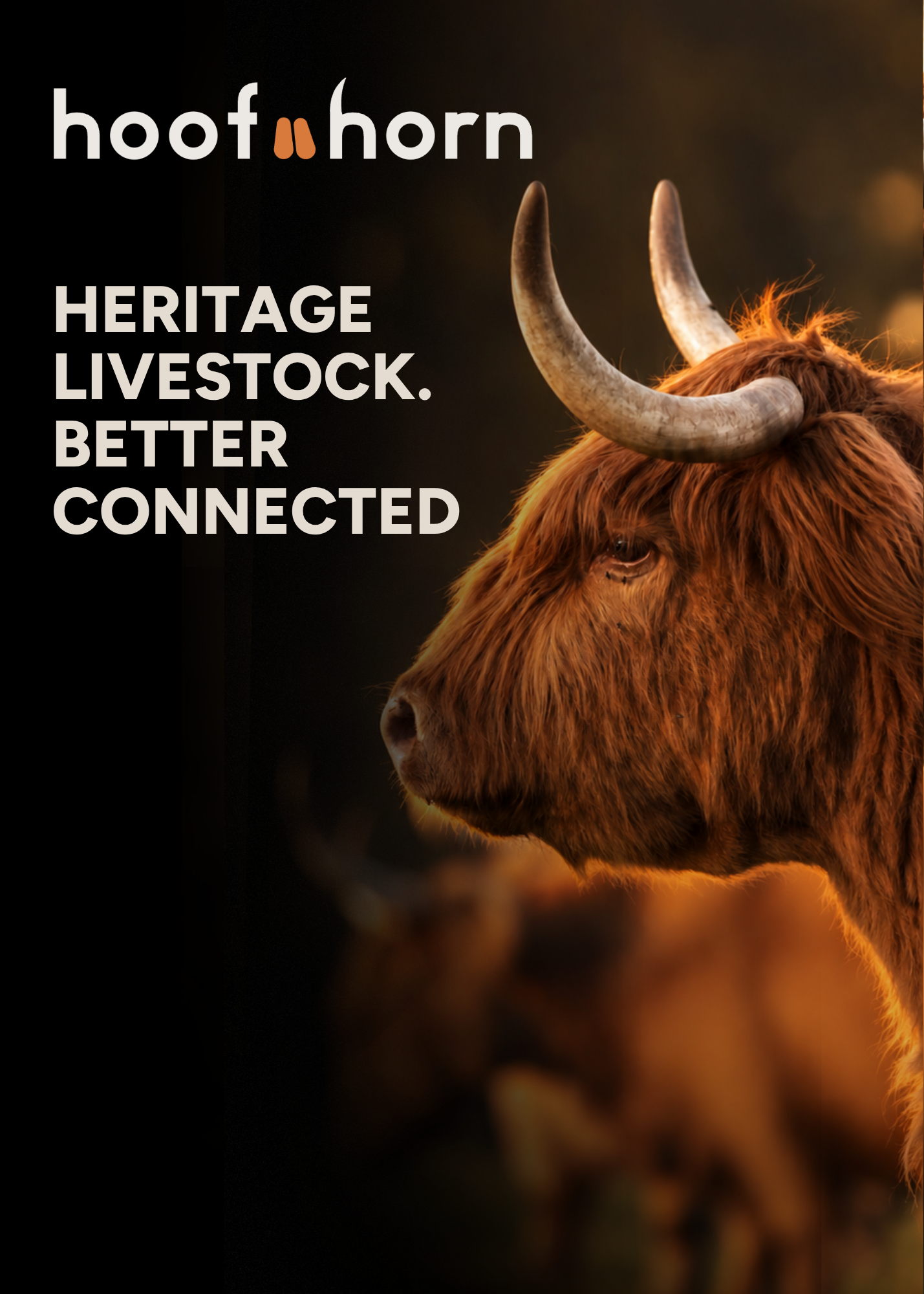 A Better Way to Buy and Sell Livestock