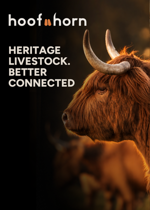 A Better Way to Buy and Sell Livestock