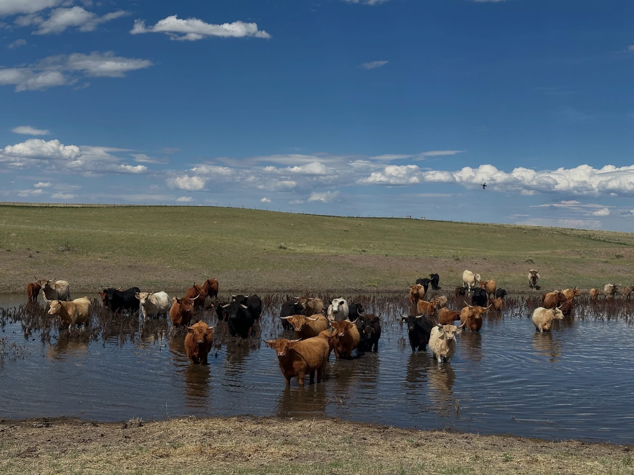 There Are Too Few Farmers Left to Tear Each Other Apart