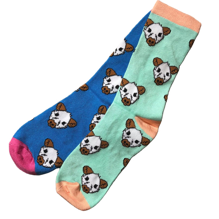 Carolina Socks image 0