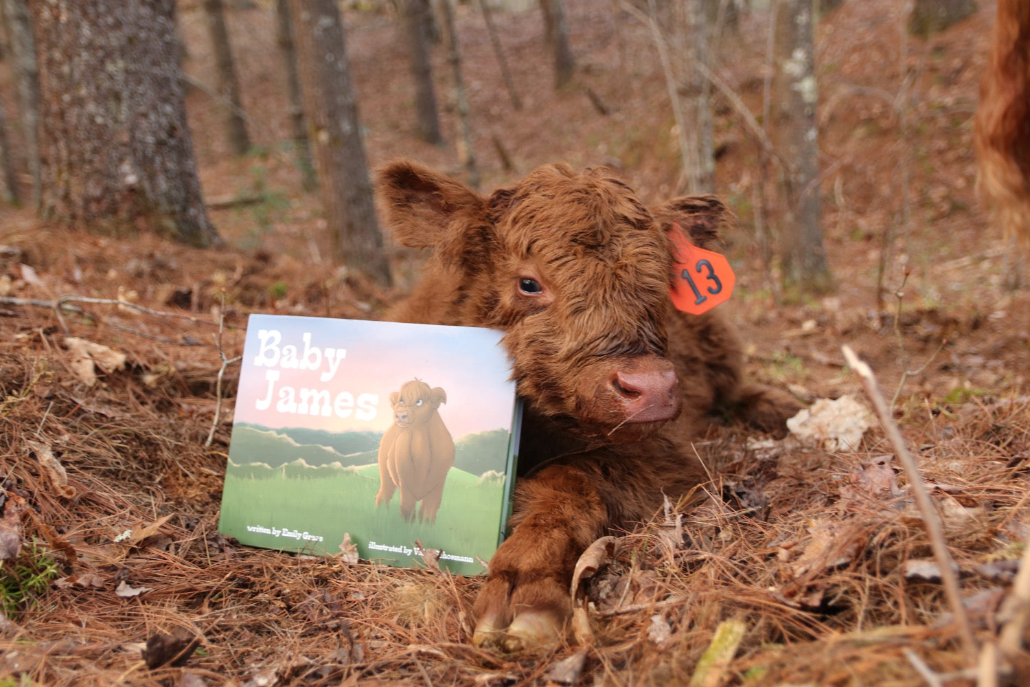  Baby James Book image 3