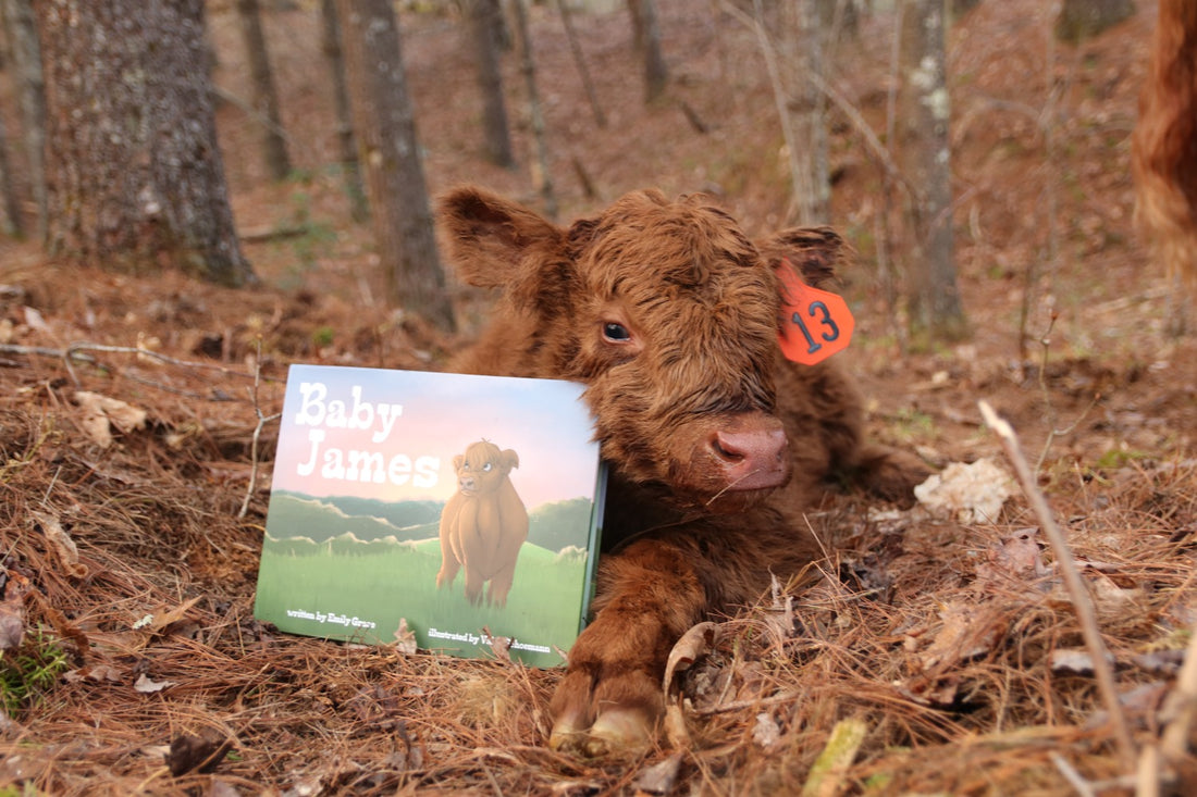  Baby James Book image 3