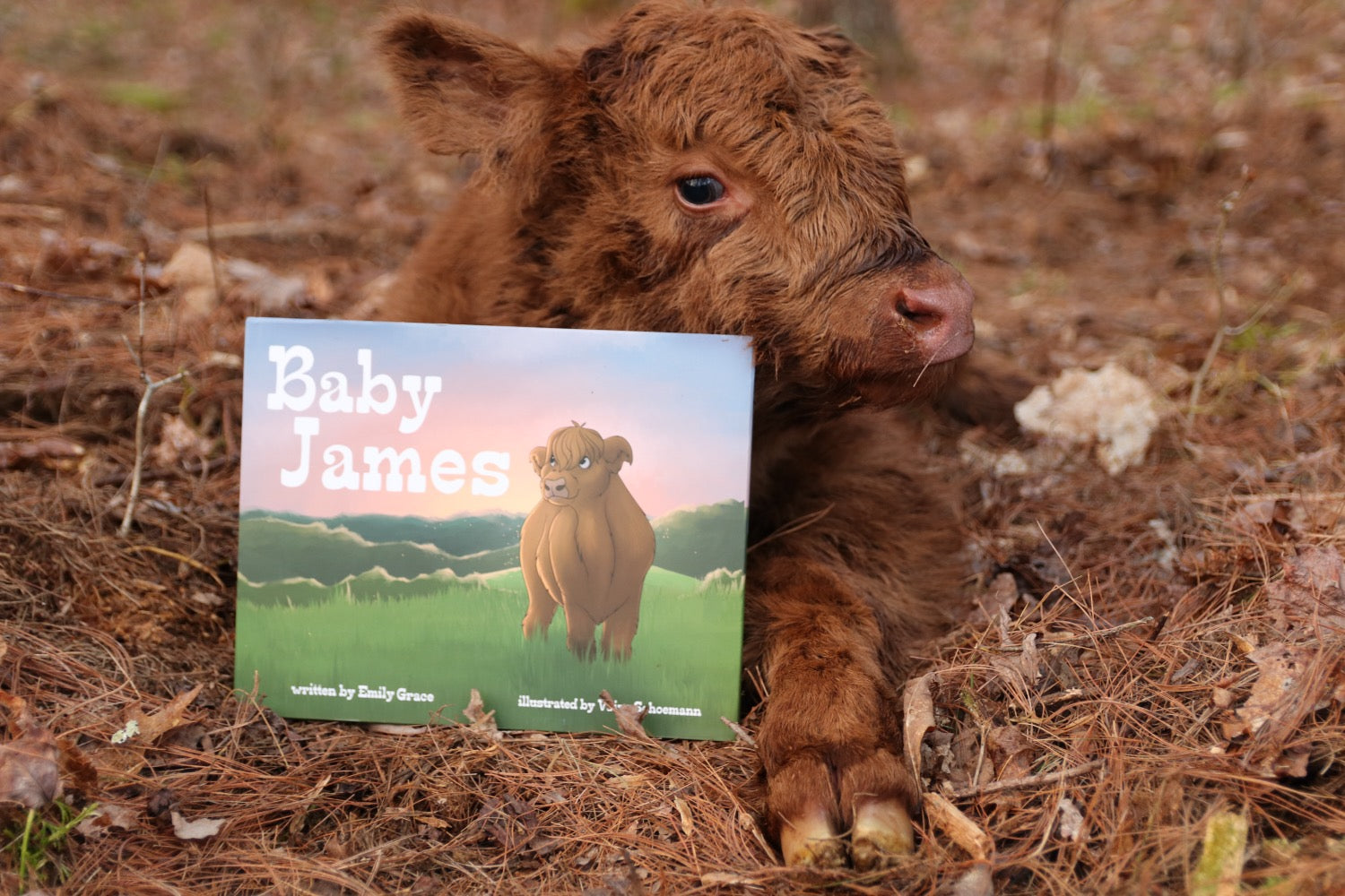  Baby James Book image 4