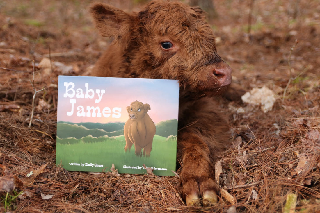  Baby James Book image 4