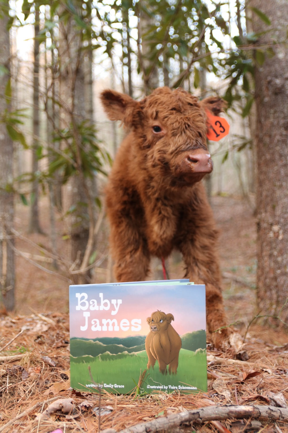  Baby James Book image 5