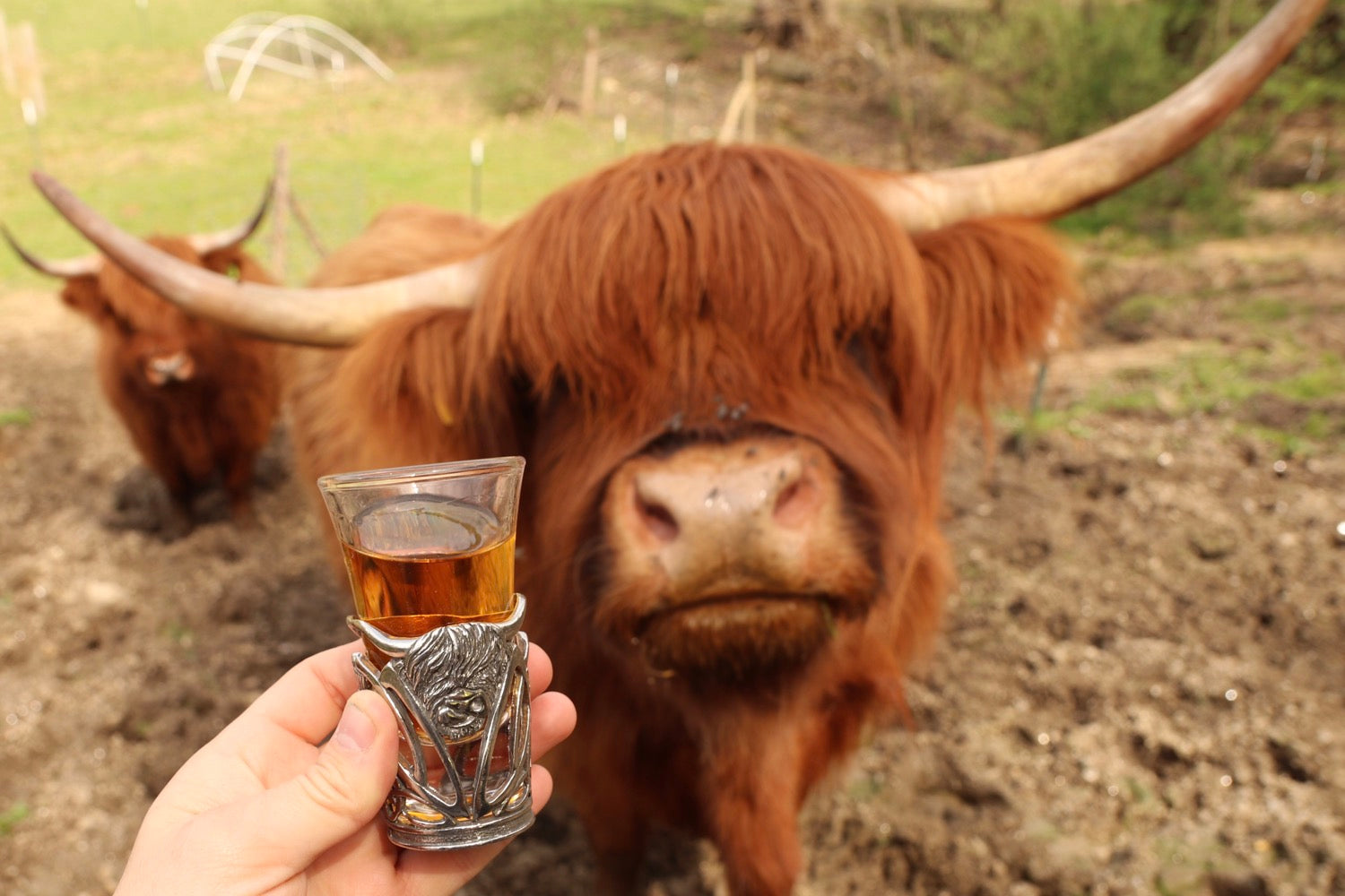 Handmade Pewter Shot glass image 3
