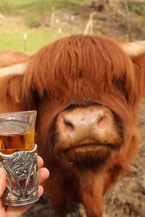 Handmade Pewter Shot glass