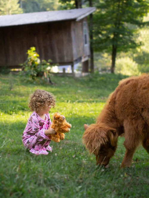 Girls Cow Pajamas