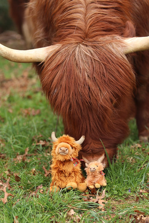 Mini Highland Cow Plush